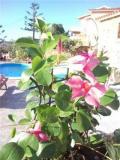 B&B in Sardegna sul mare BBinSardegnasulmare12345.jpg