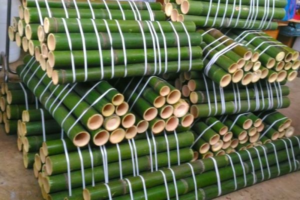 Vendo canne di bambù bambu con diametro da 1 a 10 cm. vendocannedibambbambucondiamet1234.jpg