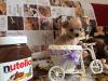 CHERIE CHIHUAHUA FEMMINA PELO RASO BLUE STRAORDINATIA TOY 421343a.jpg
