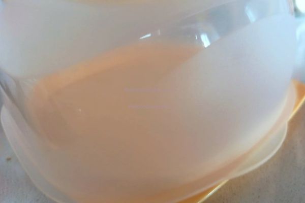 Formaggiera Tupperware formaggieratupperware1.jpg